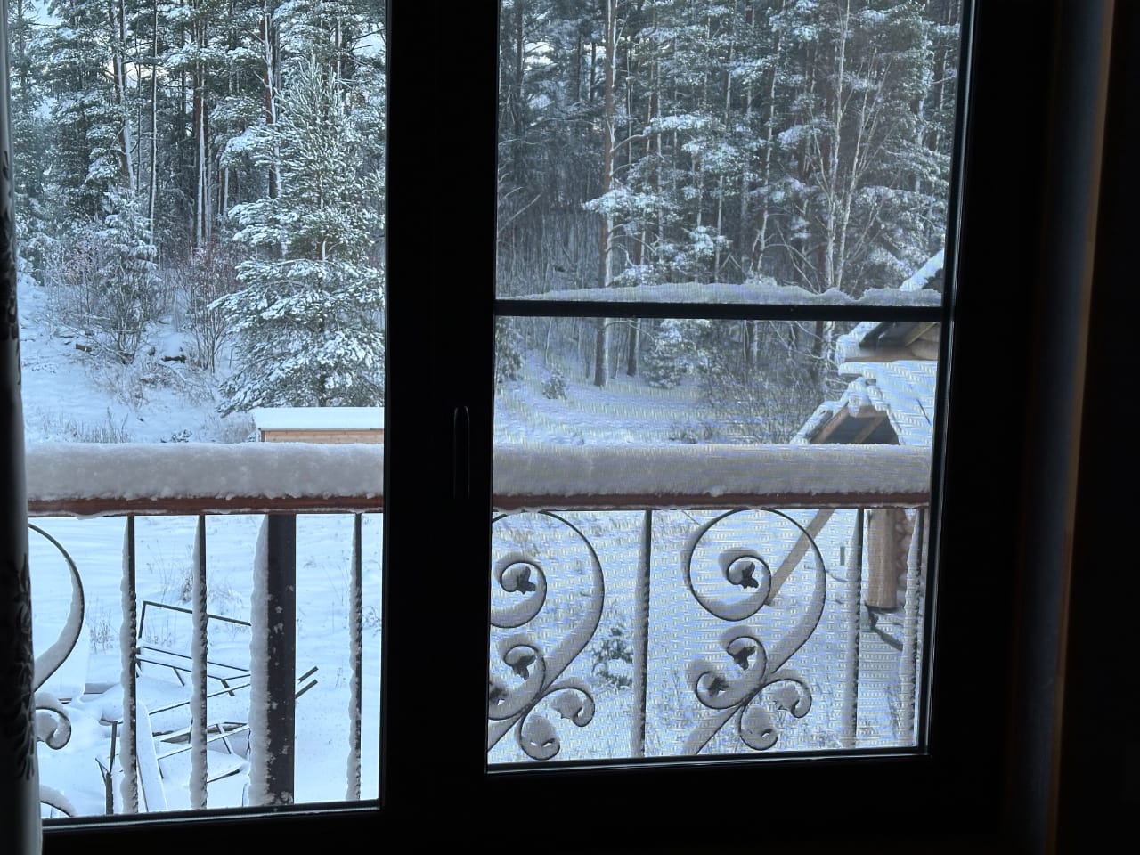 вид из окна