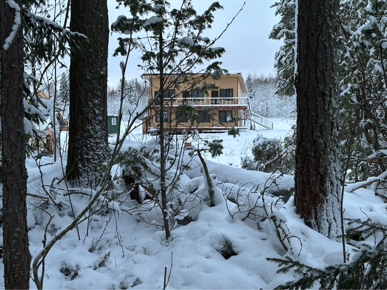 вид на отель из леса